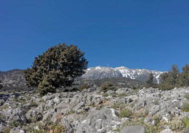 Aradena, Sfakia, S Girit, Yunanistan 'da manzara. Lefka Ori Dağı Görünümü