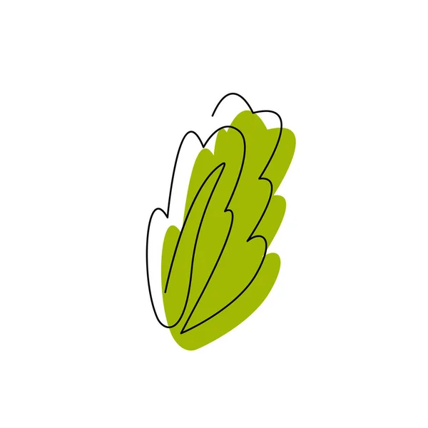 抽象的なスポットと連続的に新鮮な緑のレタスの野菜 白に隔離された葉のロゴデザインを持つシンプルな植物 輪郭のミニマルなシルエット 1本の線フラットベクトル図 — ストックベクタ