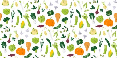 Sebzeler pürüzsüz. Balkabakları ve yeşiller yatay arka plan tasarımı. Kağıt paketleme ve paket baskısı. Yerel tarım ürünleri beyaza izole edilmiş. Sebzeler elle çizilmiş düz vektör çizimi