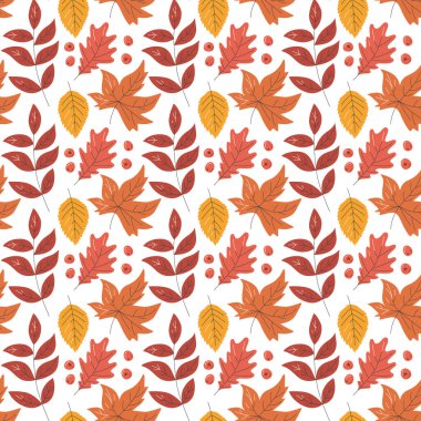 Sonbahar yaprakları pürüzsüz desen. Farklı akçaağaç, meşe ve huş yaprakları. Orman elementi duvar kağıdı tasarımı. Sıcak ve sıcak sezon titreşimleri baskısı. El çizimi düz vektör çizimi beyaza izole edildi