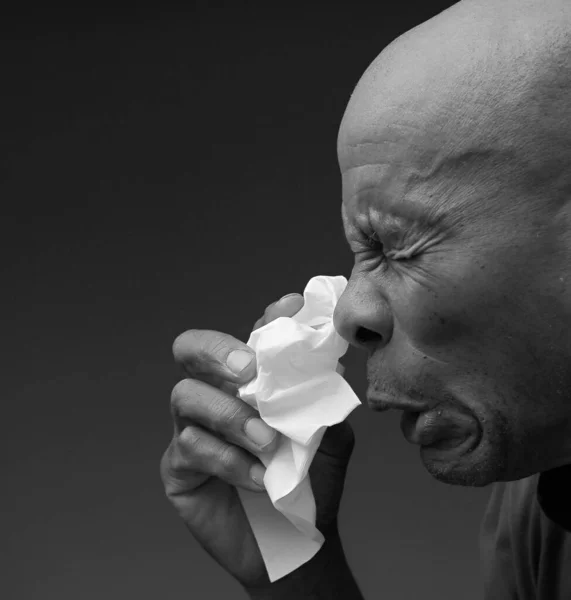 blowing nose after catching the cold and flu with grey background with people stock image stock photo