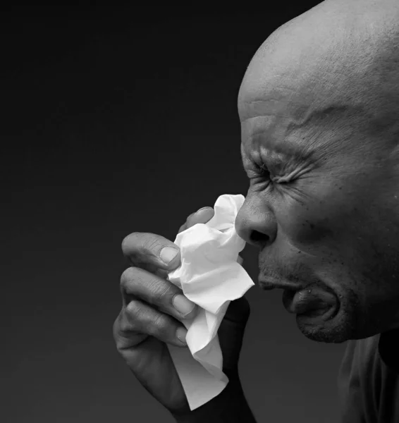 catching the cold and flu man blowing nose after catching a cold with grey background with people stock photo