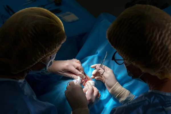 血管外科手術を受けました 目の周りの領域の若返りと修正 女性患者のまつげ手術を行うプラスチック外科医および看護師 — ストック写真
