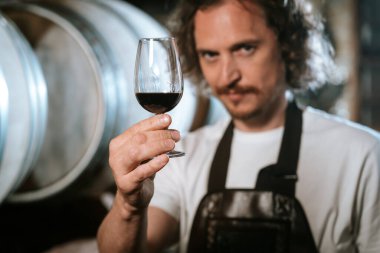 Şarap üreticisi mahzende ahşap fıçılarla şarap tadıyor. Şarap mahzeninde elinde bir kadeh şarapla duran olgun bir adamın portresi..