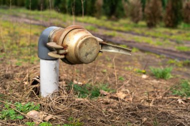 Bir tarlada, sulama sisteminin bir parçası olan metal bir su borusunun yakın çekimi. Boru çimlerle çevrili, arka planda yeşil ağaçlar var.
