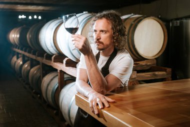 Şarap imalatçısı elinde bir kadeh kırmızı şarap tutuyor. Kalitesini büyük ahşap fıçılarla çevrili kırsal bir şarap mahzeninde inceliyor.