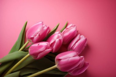 Pembe arka planda güzel pembe laleler. Bahar ve Paskalya sezonu için mükemmel. Yumuşak, pastel renkler ve narin çiçekler yenilenme ve neşe hissini uyandırıyor..