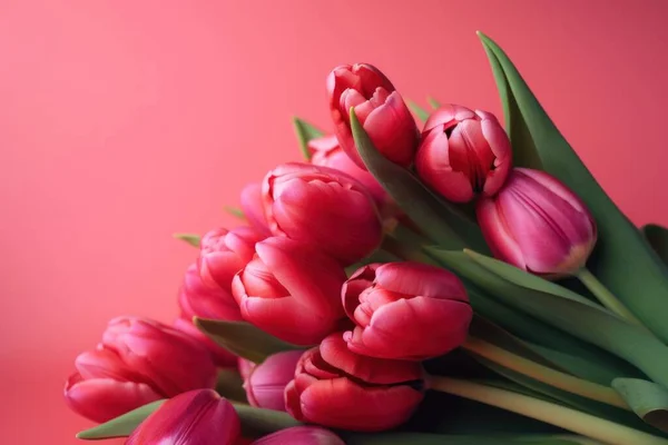 Beautiful Red Tulips Red Background Making Perfect Spring Easter Season — Stock Photo, Image