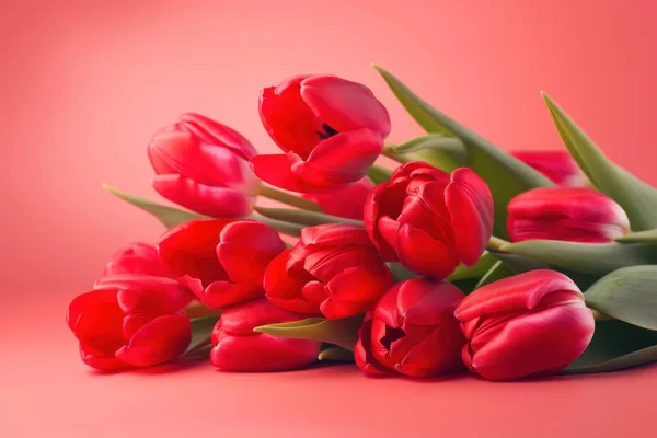 stock image Beautiful red tulips against a red background, making it perfect for the Spring and Easter season. The soft, pastel colors and delicate blooms evoke feelings of renewal and joy.