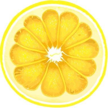 Limon diliminin vektör çizimi