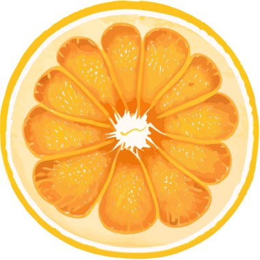 Portakal meyvesi diliminin vektör çizimi