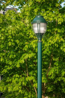 Parktaki sokak lambası.