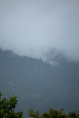 Dağlarda bir ağacı olan güzel bir manzara.