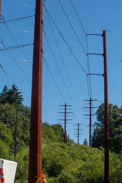 Washington Bellevue 'de yüksek voltajlı elektrik hatları taşıyan paslı elektrik direkleri.