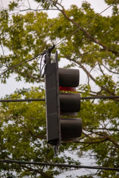 Bir trafik ışığı lambası