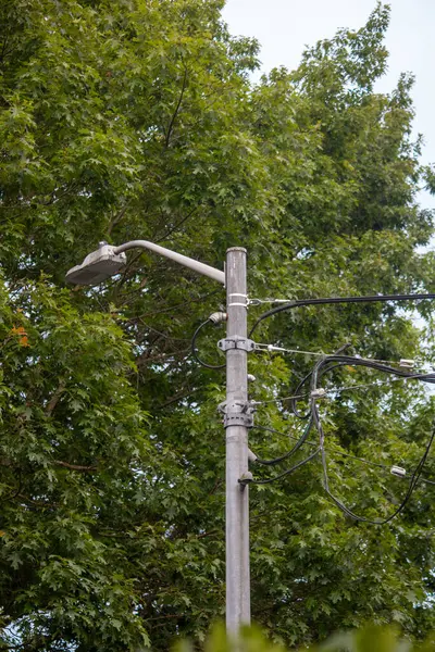 Ahşap sokak lambası direği