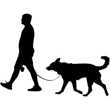 Köpeği gezdiren bir adamın silüeti.