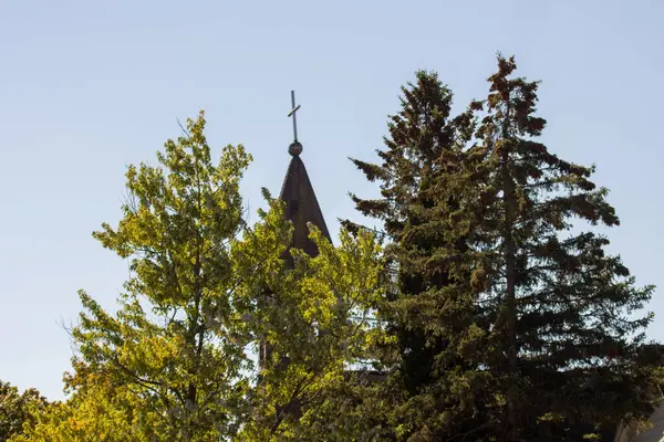 Mavi gökyüzünde yeşil ağaçlar olan bir kilisenin yakın çekimi.
