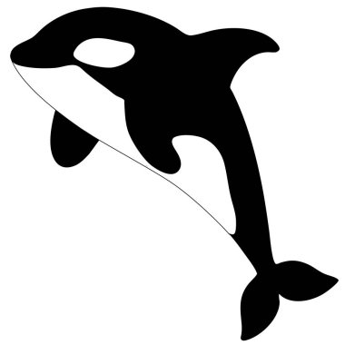 Katil balina ikonu. Vektör çizimi. Siyah siluet beyaz arkaplanda izole edildi