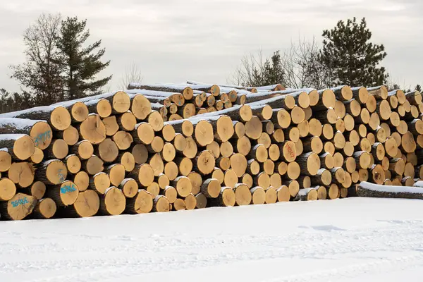 ahşap kışın günlüğe kaydeder.