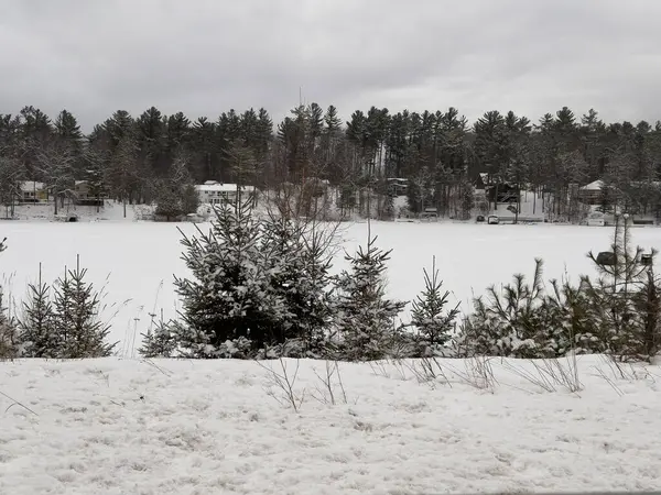 Kar - kış ormanında donmuş göl manzarası