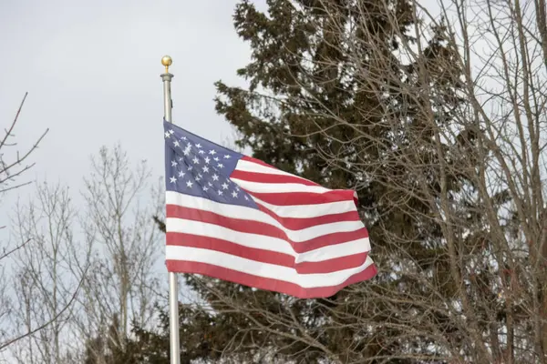 ABD bayrağı kışın rüzgarda