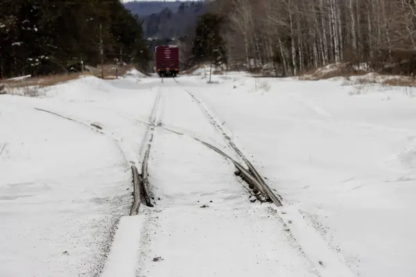 tren rayların üzerinde kar üzerinde - ormanla kaplı