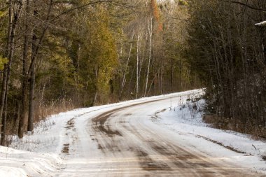 Kış ormanında karla kaplı ağaçların arasında yol.
