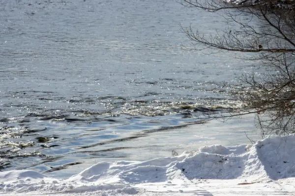 Kış ormanında donmuş buz