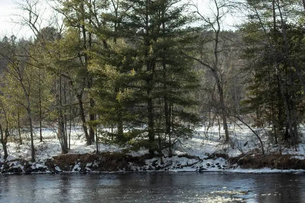 Ormandaki Donmuş Nehir