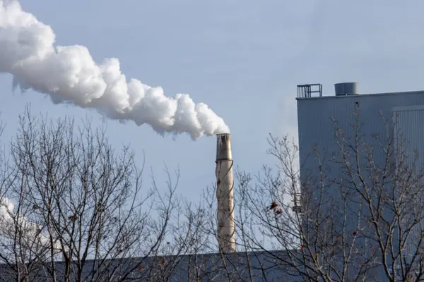 Arka planda mavi gökyüzü olan bir fabrikanın arka planında bir bacada duman. Çevre kirliliği