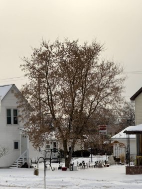 Michigan 'daki kış manzarası, Amerika Birleşik Devletleri.
