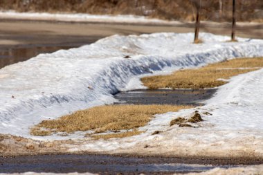 Parktaki gölün kış manzarası