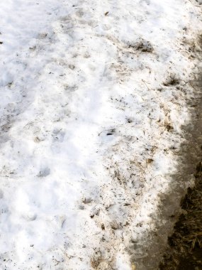 Kışın karla kaplı ağaçlar