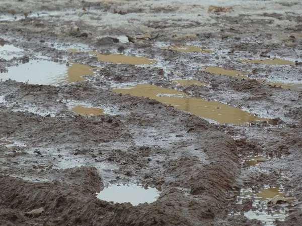 Kışın çamurlu bir yol