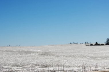Kışın karla kaplı mısır tarlası