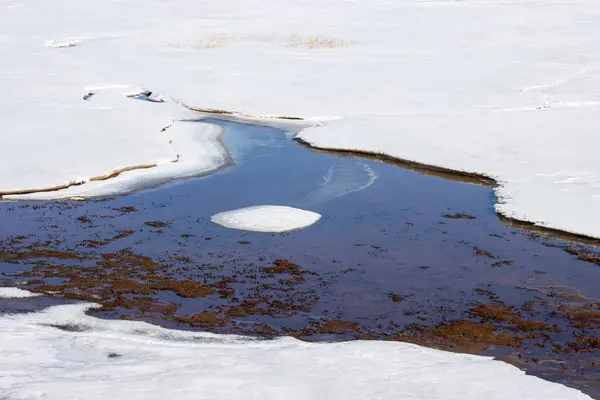 Michigan Gölü kıyılarında karlı kış manzarası