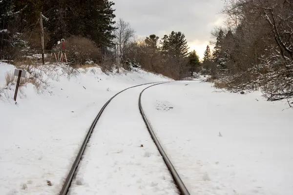 Michigan 'da kışın demiryolu.