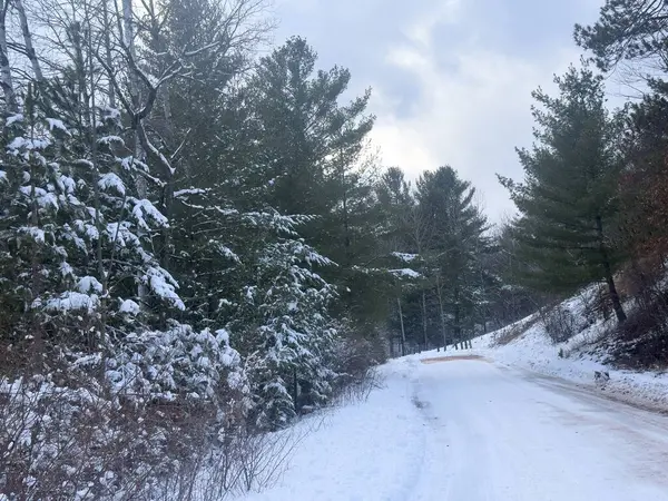 Kış aylarında orman yolu