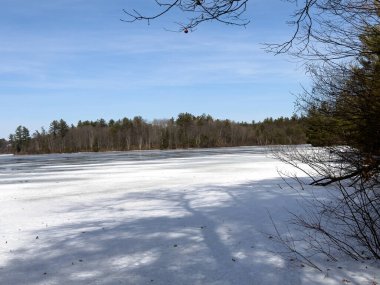 Kışın donmuş bir göl