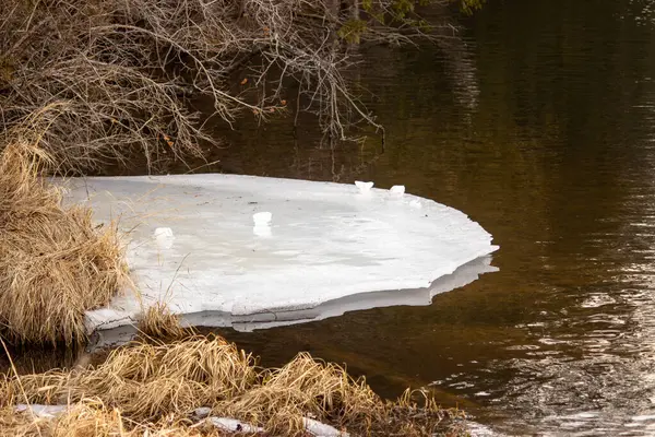 Kışın son haftasında nehir kıyısında eriyen buzlar