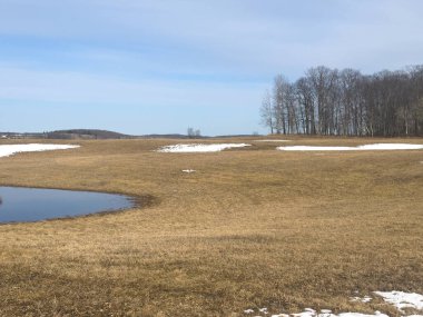 Michigan kırsalında bir arazi