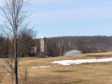 Kırsal kesimde, arka planda karla kaplı ağaçların dikey görüntüsü.