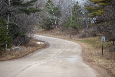 a vertical shot of a rural road in the forest