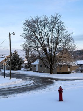 Norveç, Michigan 'da kış manzarası