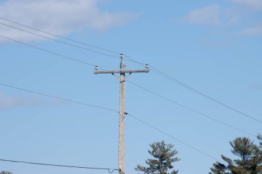 Kablolu elektrik direği