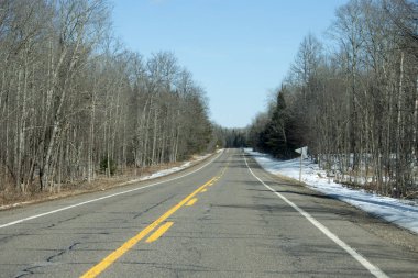 Kış ormanında yol