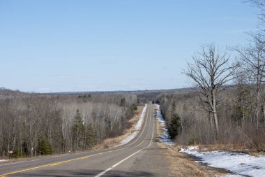 Kışın ormanda yol karla kaplı.