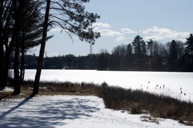 Kış mevsiminde donmuş göl