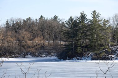 Quebec 'te kış manzarası. Kanada